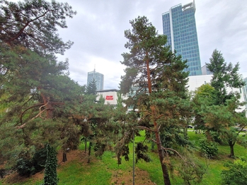 Pronájem bytu 2+kk v osobním vlastnictví 41 m², Praha 4 - Nusle