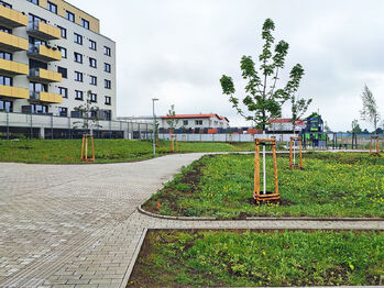 Zeleň u domu. - Pronájem bytu 2+kk v osobním vlastnictví 58 m², Praha 9 - Kbely