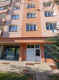 Pronájem bytu 1+kk v družstevním vlastnictví 20 m², Ústí nad Labem