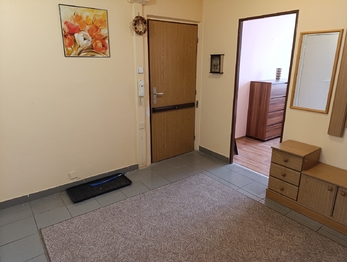 Pronájem bytu 3+1 v družstevním vlastnictví 68 m², Teplice