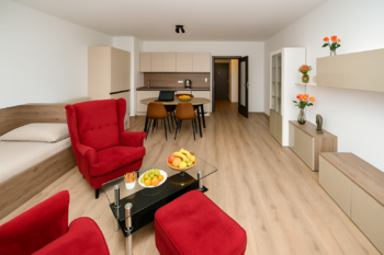 Pronájem bytu 1+kk v osobním vlastnictví 59 m², Plzeň