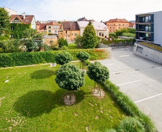 Pronájem bytu 1+kk v osobním vlastnictví 59 m², Plzeň