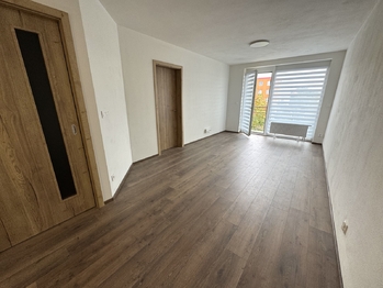 pokoj s kuchyňským koutem - Pronájem bytu 2+kk v osobním vlastnictví 57 m², Plzeň