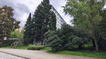 Prodej bytu 1+kk v družstevním vlastnictví 20 m², Děčín