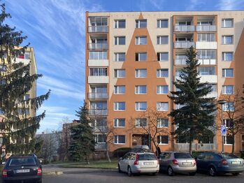 Pronájem bytu 1+1 v družstevním vlastnictví 36 m², Chomutov