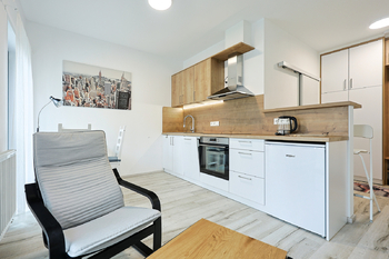 Pronájem bytu 1+kk v osobním vlastnictví 12766 m², Plzeň