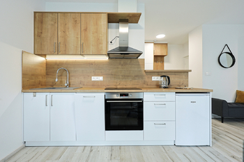 Pronájem bytu 1+kk v osobním vlastnictví 12766 m², Plzeň