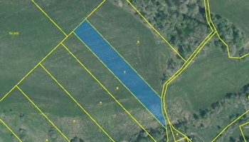 Prodej pozemku 26378 m², Louňová