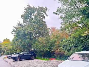 Prodej bytu 4+1 v osobním vlastnictví 178 m², Praha 6 - Bubeneč