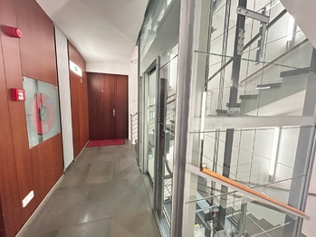Prodej bytu 4+1 v osobním vlastnictví 178 m², Praha 6 - Bubeneč