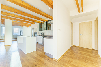 Pronájem bytu 4+kk v osobním vlastnictví 187 m², Nečín