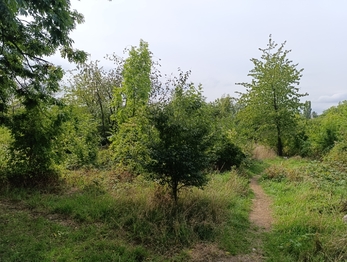 Prodej pozemku 700 m², Dubí
