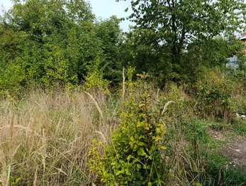 Prodej pozemku 700 m², Dubí