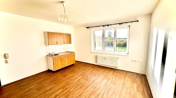 Pronájem bytu 1+kk 824 m², Žleby