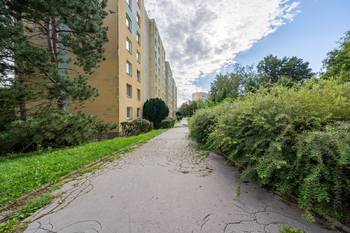 Prodej bytu 2+kk v družstevním vlastnictví 47 m², Ústí nad Labem