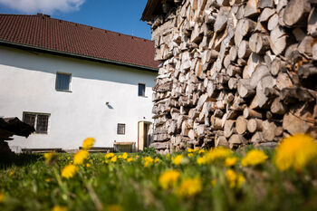 Prodej chaty / chalupy 400 m², Vyšší Brod