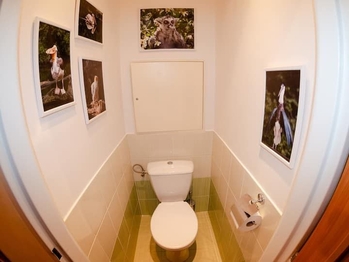 Pronájem bytu 2+1 v osobním vlastnictví 53 m², Karlovy Vary