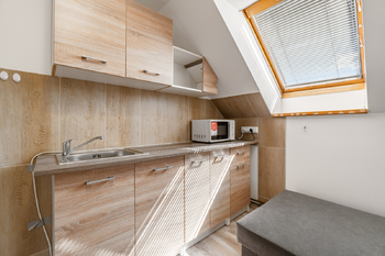 Prodej ubytovacího zařízení 361 m², Dětřichov