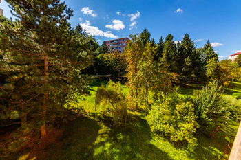 Prodej bytu 2+1 v osobním vlastnictví 61 m², Jihlava