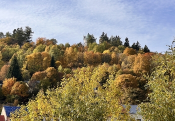 Místní lesy - Prodej domu 106 m², Jáchymov