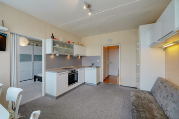 Pronájem bytu 1+1 v osobním vlastnictví 36 m², Plzeň