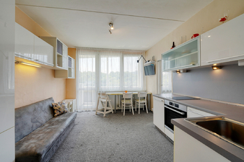 Pronájem bytu 1+1 v osobním vlastnictví 36 m², Plzeň