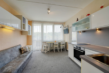 Pronájem bytu 1+1 v osobním vlastnictví 36 m², Plzeň