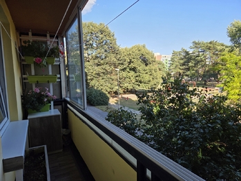 Pronájem bytu 1+kk v osobním vlastnictví 40 m², Pardubice