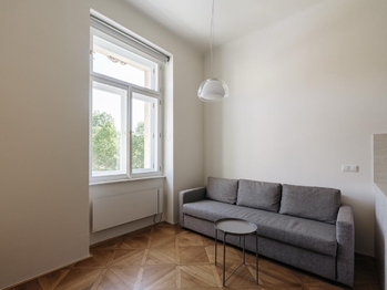 Pronájem bytu 1+kk v osobním vlastnictví 44 m², Praha 8 - Karlín