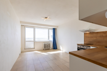 pohled do pokoje - Prodej bytu 1+kk v osobním vlastnictví 23 m², Praha 8 - Kobylisy
