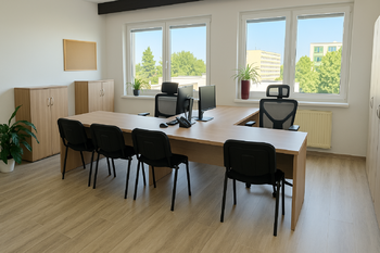 Pronájem kancelářských prostor 578 m², Židlochovice