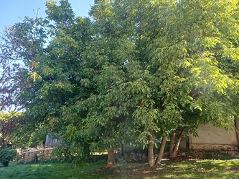 Prodej domu 200 m², Třemešné