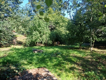 Prodej domu 200 m², Třemešné