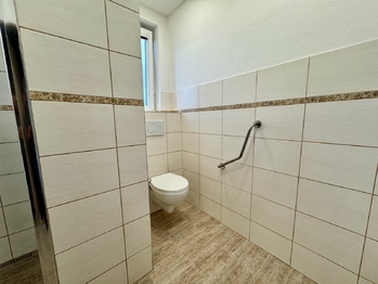Pronájem bytu 3+kk v osobním vlastnictví 101 m², Hořovice