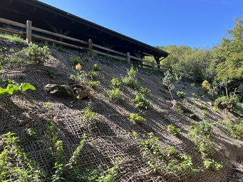 Prodej domu 69 m², Jarcová