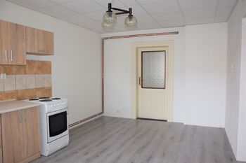 Pronájem bytu 1+1 v osobním vlastnictví 35 m², Plzeň