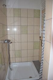 Pronájem bytu 1+1 v osobním vlastnictví 35 m², Plzeň