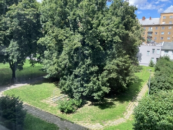 Prodej bytu 2+1 v družstevním vlastnictví 63 m², Ostrava