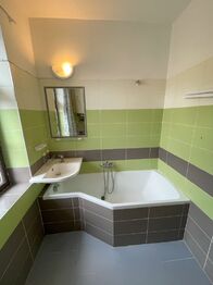Pronájem bytu 3+kk v osobním vlastnictví 55 m², Řehenice