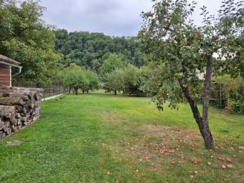 Prodej domu 150 m², Brandýs nad Orlicí