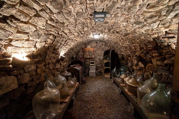 Prodej vinného sklepa 56 m², Kobylí