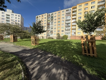 Pronájem bytu 1+1 v osobním vlastnictví 31 m², Plzeň