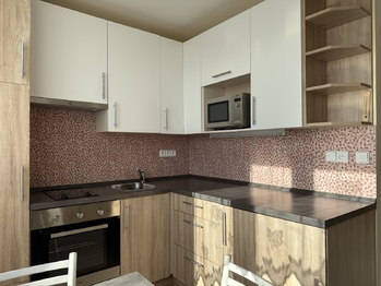 Pronájem bytu 1+1 v osobním vlastnictví 31 m², Plzeň