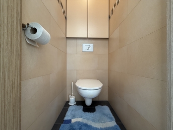 Pronájem bytu 1+1 v osobním vlastnictví 31 m², Plzeň