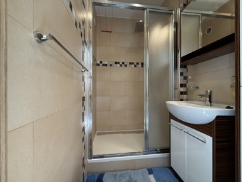 Pronájem bytu 1+1 v osobním vlastnictví 31 m², Plzeň