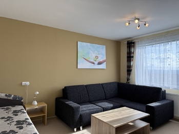 Pronájem bytu 1+1 v osobním vlastnictví 31 m², Plzeň