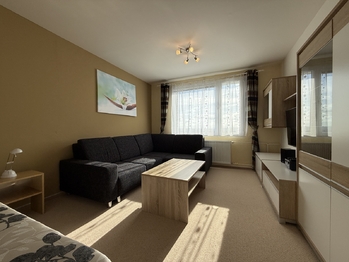 Pronájem bytu 1+1 v osobním vlastnictví 31 m², Plzeň