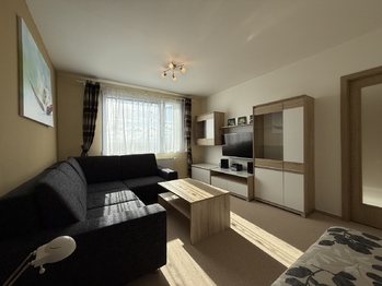 Pronájem bytu 1+1 v osobním vlastnictví 31 m², Plzeň