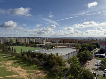 Pronájem bytu 1+1 v osobním vlastnictví 31 m², Plzeň