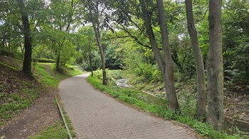Pronájem bytu 3+kk v osobním vlastnictví 76 m², Praha 9 - Libeň